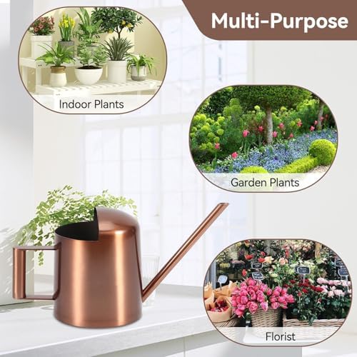 10oz/300ml Watering Can Indoor Plants, Long Spout Small Watering Sprinkling Pot Mini Stainless Steel Water Can Garden Water Pot for Indoor House Plants Bonsai - Image 3