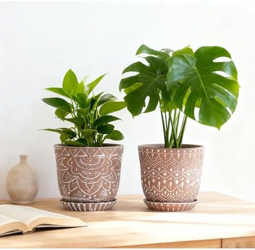 Gepege Ceramic Plant Pots, 6 Inch Indoor Planters with Drainage & Saucers - Image 5