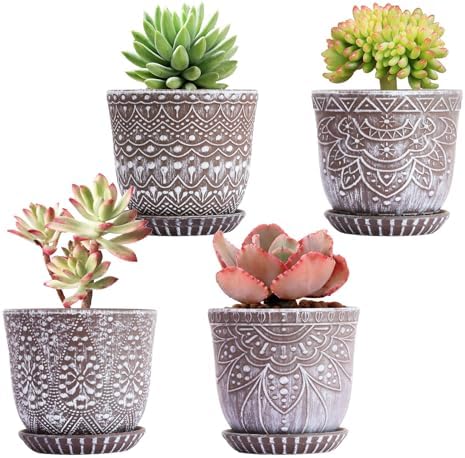Gepege Ceramic Succulent Pots, 4 Inch Small Plant Pots with Drainage by Gepege
