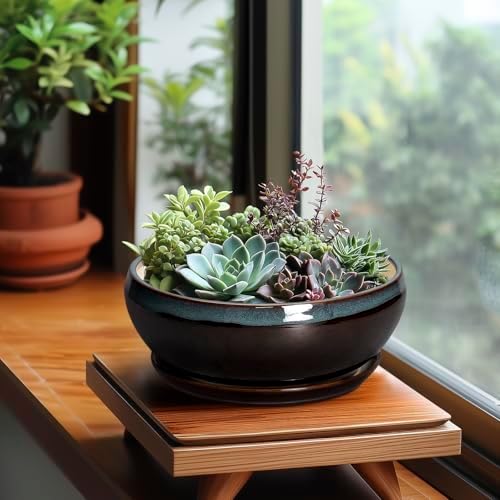 SQOWL Succulent Planters 8 Inch - Ceramic Bonsai Pots with Drainage Hole and Ceramic Saucer, Round Shallow Planter for Indoor Plant, Bowl Planter Outdoor, Desk Decor, Gift for Plant Lover, Blue-Brown - Image 3