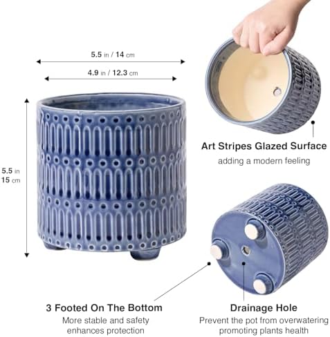 STHIE 5 Inch Ceramic Planters for Indoor Plants, Blue Cactu Snake Plant Pot - Image 2