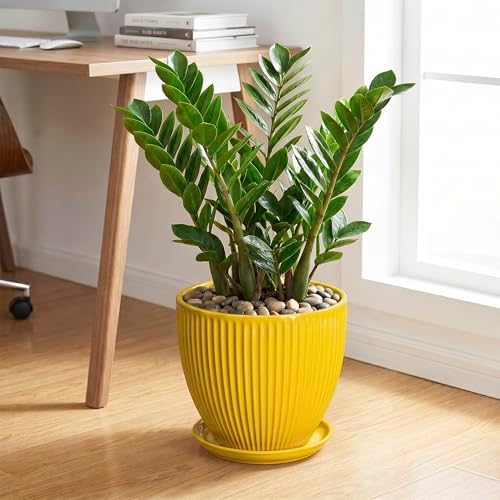 Ceramic Planters for Indoor Plants, 10 Inch Plant Pot Indoor with Drainage Hole and Saucer, Modern Large Flower Pots for Indoor Plants, Round Planter, Home Garden Decor, Gardening Gifts, Yellow - Image 3