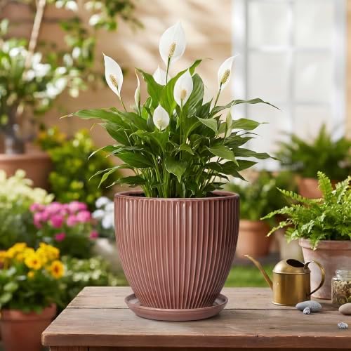 Ceramic Pots for Plants 6 Inch, Ceramic Plant Pots Indoor with Drainage Hole and Saucer, Modern Flower Pot, Round Decorative Planter, Living Room Home Decor, House Warming Gifts, Rust Red - Image 4