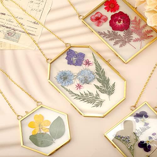 Bucherry 5 Pcs Glass Frame for DIY Pressed Flowers Art Brass Hanging Photo Picture Frame with Chain and 6 Styles Pressed Flowers Collage Glass Craft Frames for Wall Decor Display Gallery (Gold) - Image 5