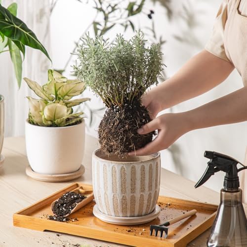 Ceramic Flower Pots Indoor-Outdoor: 5.75 Inch Planters with Drainage Holes & Saucer - Modern Decorative Plant Pots Ceramic for Home Gardeners (Striped) - Image 4