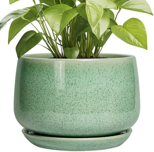 G EPGardening Ceramic Planter, 9 Inch Plant Pot, Green by GEPGardening