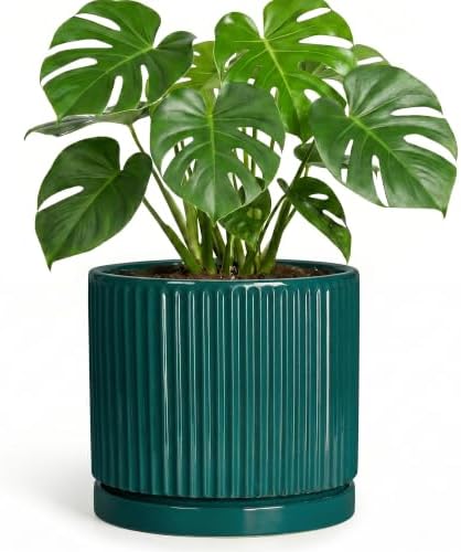8 Inch Ceramic Planter, Round Pots for Plants, Blackish Green by Unknown