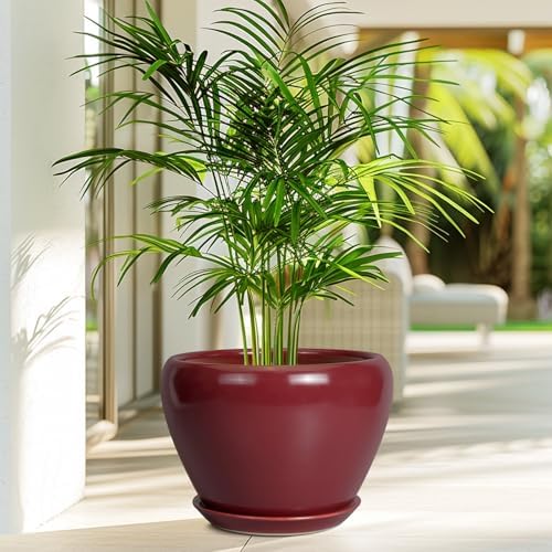 Ceramicfor 10 Inch Plant Pot, Ceramic Planter, Red - Image 4