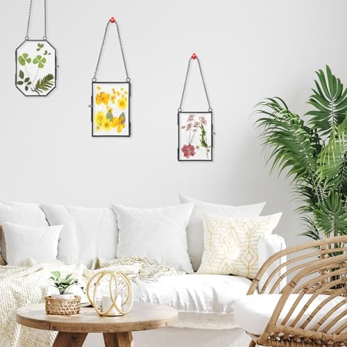 Bucherry 5 Pcs Glass Frame for DIY Pressed Flowers Art Brass Hanging Photo Picture Frame with Chain and 6 Styles Pressed Flowers Collage Glass Craft Frames for Wall Decor Display Gallery (Black) - Image 6
