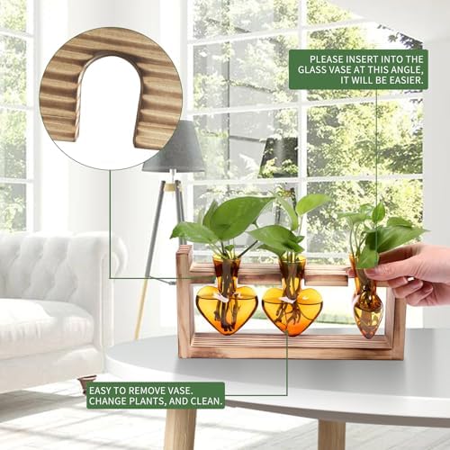 Plant Terrarium Propagation Stations Hydroponics - Image 2