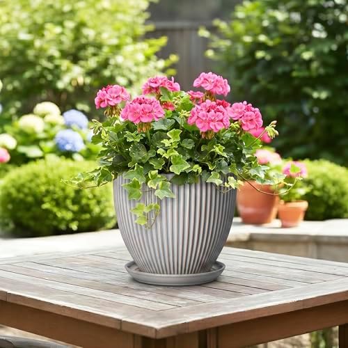 Ceramic Planters for Plants, 8 Inch Flower Pot with Drainage Hole and Saucer, Round Plant Pots for Indoor Plants, Modern Decorative Planter, Home Garden Decor, Gifts for Plant Lovers, Grey - Image 4
