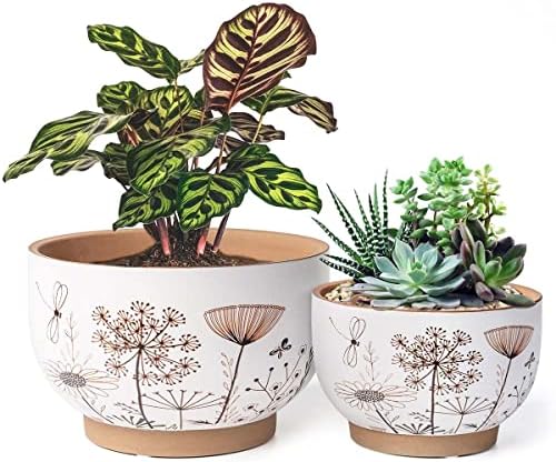 Terracotta Pots, 8+6 Inch Plant Pots, 2 Pcs with Drainage Holes by YBXYIBOXUAN