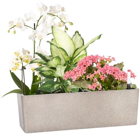 Elongated Self Watering Planter Pots Window Box 5.5 x 16 inch Indoor Home Garden Modern Decorative Planter Pot for All House Plants Flowers Herbs (Coffee,1-Pack) by GardenBasix