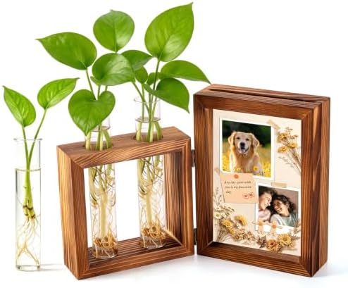 Plant Propagation Station with Wooden Picture Frame, Desktop Home Decor by Bestgiftforyourchild