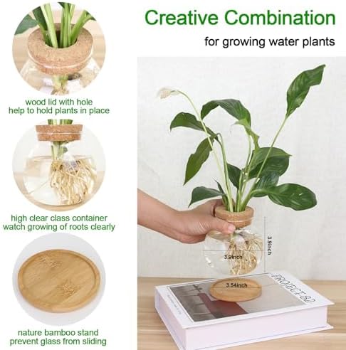 Plant Propagation Station,Hydroponic Glass Container Vase Jars, with Wooden Saucer for Desks, Houses, Garden Decorations, Home Kitchen Decorations and Gifts for Plant Lovers (6) - Image 2
