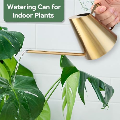 Watering Can for Indoor Plants, 13.5 Oz/400 Ml Indoor Plant Watering Can Stainless Steel Small Water Cans with Long Spout for Plants Succulent Bonsai, 4 X 4.9 Inch - Image 3