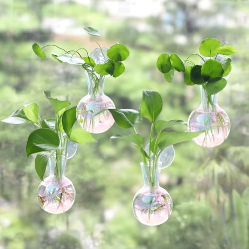 Bunmery 4 pcs Iridescent Window Propagation Stations, Easy to Install Plant Propagation Bulbs with Suckion Cups, No Nails Wall Hanging Planter Propagation Station, Glass Plant Terrarium Vase by Unknown