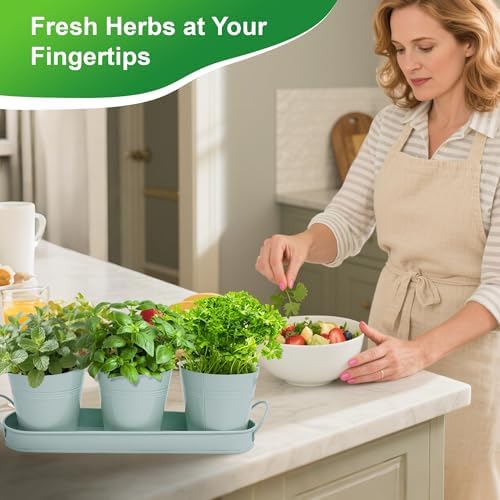 Herb Garden Planter Indoor Kit – 6 Metal Pots with 2 Trays for Windowsill & Kitchen Counter – Modern Decorative Indoor Planters for Herbs, Succulents & Small Plants, Mint - Image 2