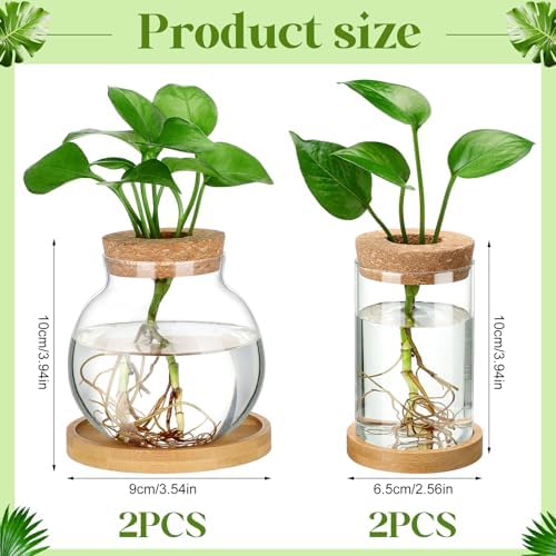Layhit 4 Pcs Plants Propagation Stations vases Glass Planters with Wooden Lid and Bamboo Stand for Hydroponic Plants Gardening Gifts for Women Mom Home Office Tabletop Decoration(Funny Style) - Image 4