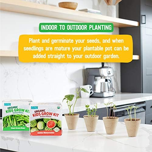 Back to the Roots Kids Science Grow Kit - 2 pk Bean and Watermelon - Image 3