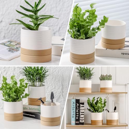 HASENSE Ceramic Plant Pots with Saucers Set of 4, 4.6 Inch Planters for Indoor Plants with Drainage Holes,Two-Tone White Flower Pots for Succulents, Snake Plants & Cactus, Farmhouse Desktop Decor - Image 3