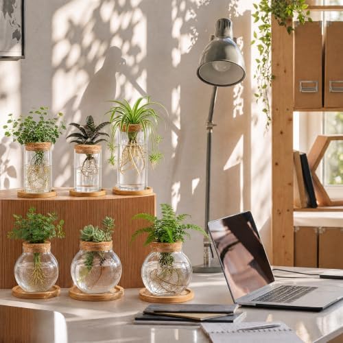 Honeydak 6 Pcs Plants Propagation Station Desktop Glass Propagation Round - Image 5