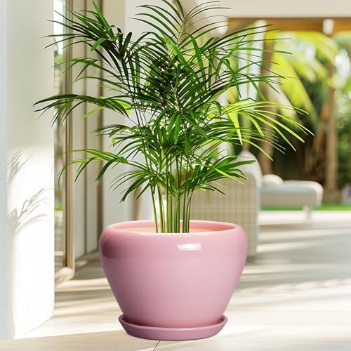 Ceramicfor 10 Inch Plant Pot - Ceramic Planter for Indoor Plants, Glaze Modern Round Planter with Drainage Hole and Saucer, Gifts for Plant Lovers, Office Patio Home Room Decor, Pink - Image 4