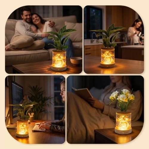 2 Pack Plant Propagation Station with Light, Hydroponic Glass Vase - Image 6