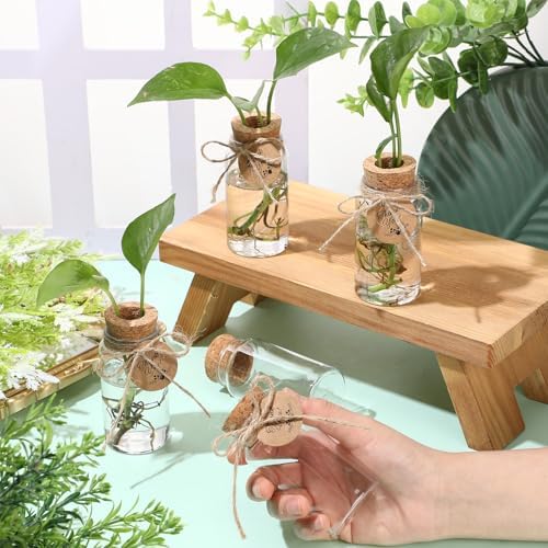 Baderke 48 Pack 3.54'' Plastic Plant Propagation Stations with Hole Lid - Image 4