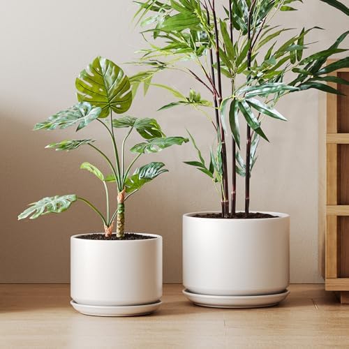 LE TAUCI Ceramic Pots for Plants, Set of 2, 10 + 12 Inch Plant Pot with Drainage Hole and Saucer, Durable & Stylish Planters for Indoor Plants, Elevate Your Home’s Aesthetic, White by LETAUCI