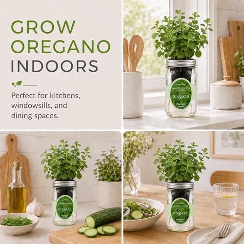 Hydroponic Herb Growing Kit, Self-Watering Mason Jar Herb Garden Starter Kit Indoor, Grow Your Own Herbs from Organic Seeds (Oregano) - Image 5