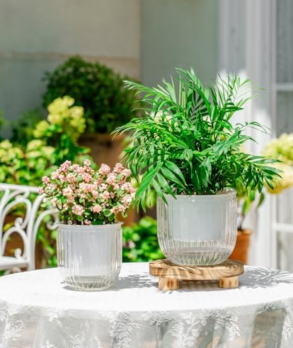 Melphoe Self Watering Pots for Indoor Plants Planter, 6.5/5.3 Inch 2 Pack Planters Self Watering Plant Pots for Flower, Houseplants, Succulent, African Violets and Cactus with Drainage - Image 3