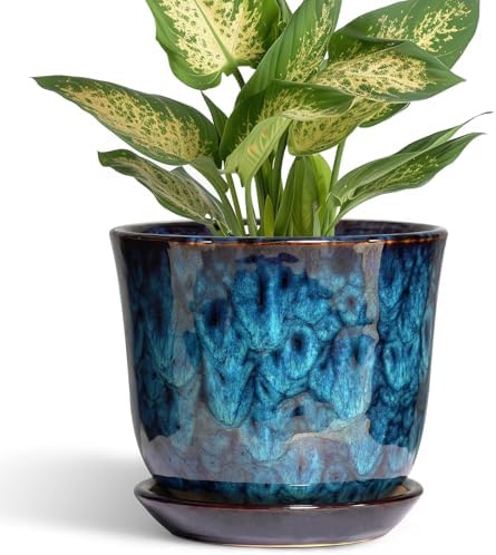 5.6 Inch Plant Pot - Ceramic Pots for Plants with Drainage Hole and Saucer, Round Succulent Flower Orchid Pot for Indoor Outdoor, Modern Planter, Home Room Decor, Gift for Plant Lover, Blue by SUNPOTFOR