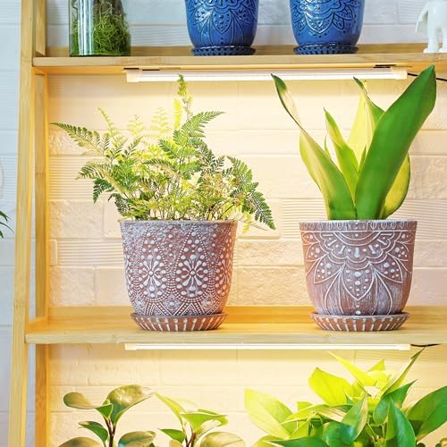 Gepege Ceramic Plant Pots, 6 Inch Indoor Planters with Drainage & Saucers - Image 6