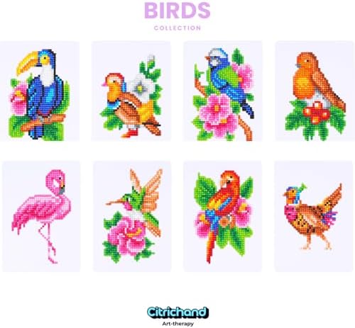 Citrichand Small Diamond Art Kits, Bird Collection 8 Pack for Adults - Image 2