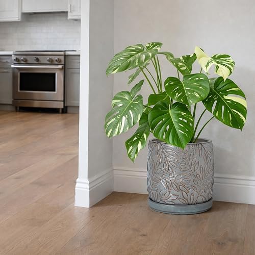 D'vine Dev Embossed Leaves Ceramic Planter, 10 in, Graphite Blue, 27-A-P-9 - Image 6
