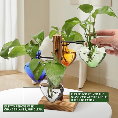 Plant Terrarium Propagation Stations with Wooden Stand - Image 3