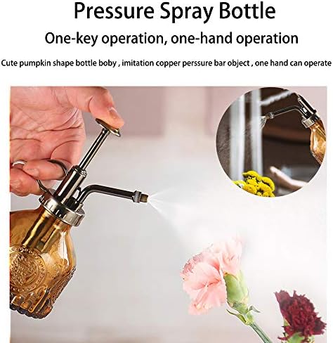 Plant Mister Glass Spray Bottle Small Plant Watering Can 6.4" Tall Retro Indoor Watering Can Bronze Plastic Top Pump for Garden Indoor Plant Sprayer (Red) - Image 6