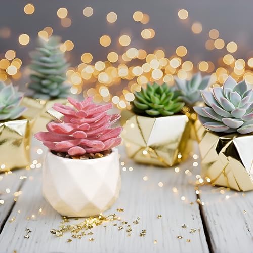 VIVERIE Mini Faux Succulents Plants Artificial in Pots-Rose Pink Desk Accessories, Small Fake Succulents Plants for Home Decor Indoor for Women, White Ceramic, Set of 4 - Image 6