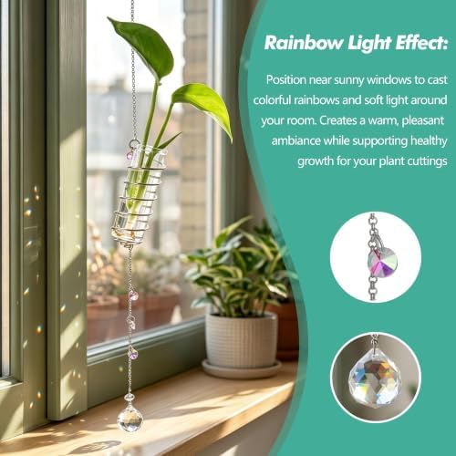 6Pcs Hanging Plant Propagation Station with Crystal Ball Prisms Suncatcher - Image 3