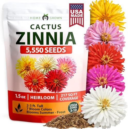 HOME GROWN Zinnia Cactus Mix 5550 Flower Seeds Zinnia elegans by HOMEGROWN
