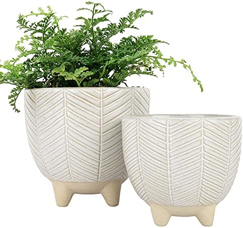 LA JOLIE MUSE Ceramic Plant Pots, Flower Pots for Indoor Plants, Set of 2 by LaJol%C3%ADeMuse