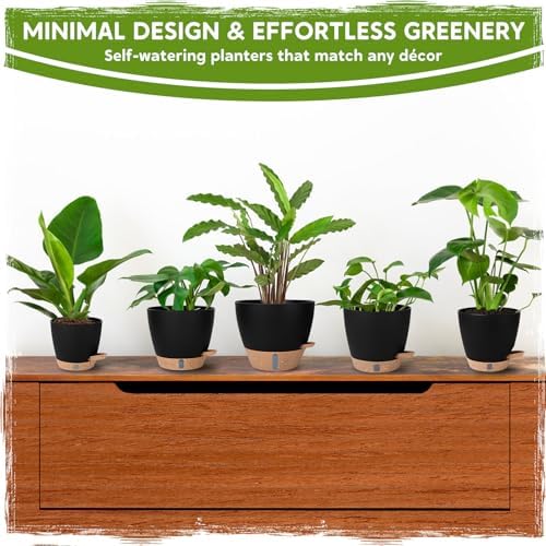Self-Watering Pots for Indoor Plants with Visible Water Window,5/6/6.5/8/10 Inch Outdoor Flower Pots with Drainage Holes & Reservoir for Patio, Home Decor (Black) - Image 5