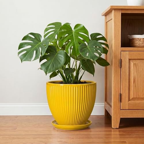 Ceramic Planters for Indoor Plants, 10 Inch Plant Pot Indoor with Drainage Hole and Saucer, Modern Large Flower Pots for Indoor Plants, Round Planter, Home Garden Decor, Gardening Gifts, Yellow - Image 6