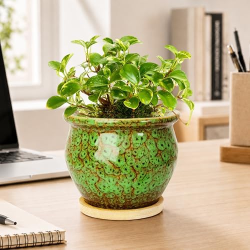 4.5 Inch Plant Pots, Small Pots for Plant Indoor, Succulent Pots with Tray - Image 4