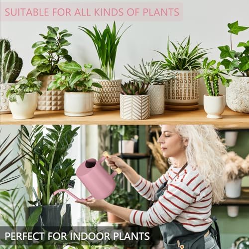 Watering Can Indoor Plants, 35oz Small Indoor Stainless Steel Metal Watering Can Modern Decorative Watering Pot with Long Spout for Indoor House Plant Bonsai Garden Flowers (Pink) - Image 4