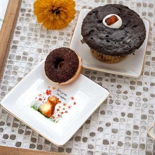 Capybara Jewelry Ring Holder Dish Tray, Gifts For Women Teens Girls, Capybara Lovers Themed Stuff Things Decor Merch,Home Room Ring Earrings Necklace Organizer Holder! - Image 6