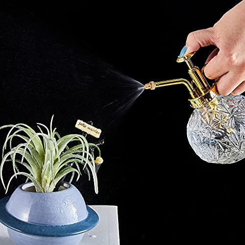 Glass Plant Mister Water Spray Bottle, Succulent Watering Bottle with Plastic Top Pump, 200 ML Capacity Vintage Style Plant Sprayer, Small Watering Can for Indoor Outdoor House Plants - Clear - Image 4