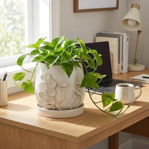 6 Inch Ceramic Plant Pot with Mushroom Gill Pattern Texture, Ivory White - Image 6