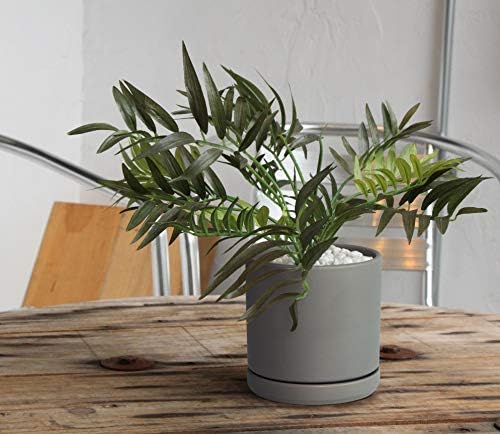 D'vine Dev 2-Pack Ceramic Pots with Saucers, Grey, 6 in, 94-V-C-3 - Image 2